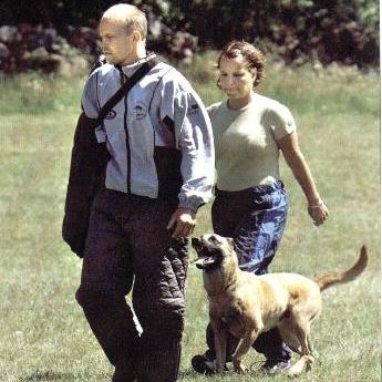 Malinois. Dog Security Piraya Cleo.