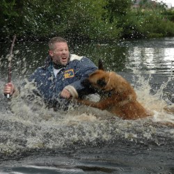 Malinois. Blackneck's A'Jet.