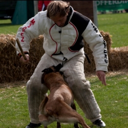 Malinois. Blackneck´s XA